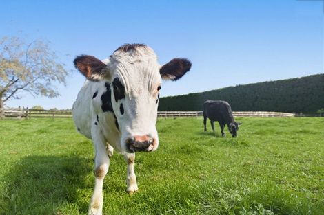 Photo of property in 207b Peers Road, Omanawa, Tauranga, 3171