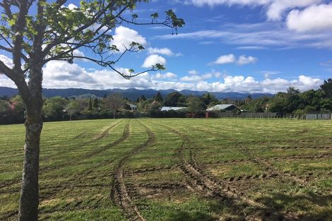 Photo of property in 20 Claremont Rise, Levin, 5510