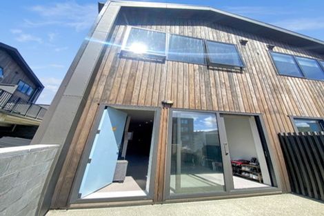 Photo of property in Aniva Terrace, 14 Arney Street, Newtown, Wellington, 6021