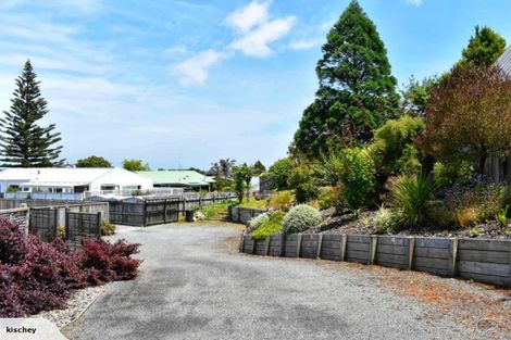 Photo of property in 90 Treadwell Street, Springvale, Whanganui, 4501