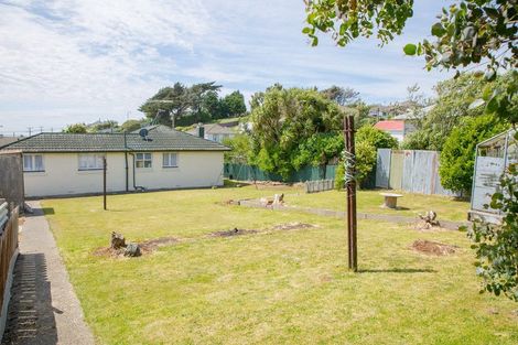 Photo of property in 18 Budd Street, Bluff, 9814