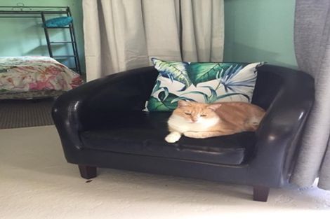 Photo of property in 20 Birch Hill Road, Loburn, Rangiora, 7473