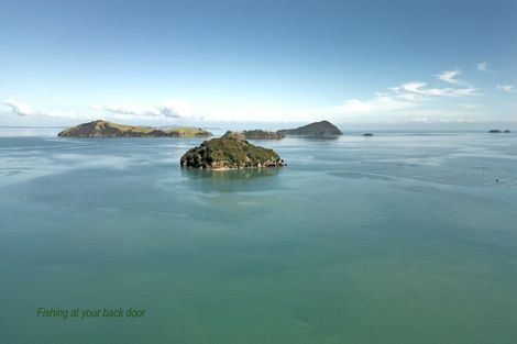 Photo of property in 2075 Wyuna Bay Road, Wyuna Bay, Coromandel, 3581