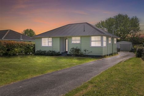 Photo of property in 9 Maire Street, Levin, 5510