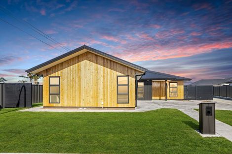 Photo of property in 143 Eriksen Road, Meeanee, Napier, 4110