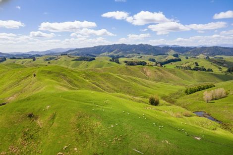 Photo of property in 390 North Road, North East Valley, Dunedin, 9010