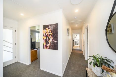 Photo of property in 19 Montgomery Street, Feilding, 4702