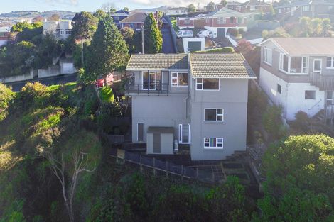 Photo of property in 101 Dunrobin Street, Waverley, Dunedin, 9013