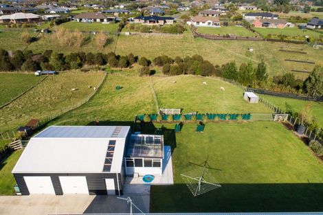 Photo of property in 31 Wapiti Avenue, Feilding, 4775