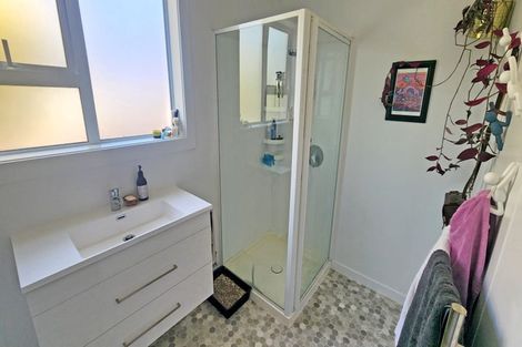 Photo of property in 17 Signal Hill Road, Opoho, Dunedin, 9010