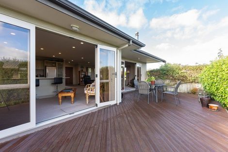 Photo of property in 21 Pukawa Place, Feilding, 4702