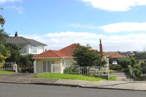 Photo of property in 45 Staveley Avenue, Mount Roskill, Auckland, 1041