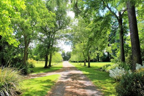 Photo of property in 414 Rakaiatai Road, Ormondville, Dannevirke, 4977