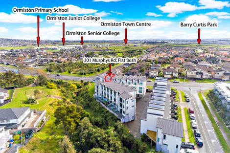 Photo of property in 301 Murphys Road, Flat Bush, Auckland, 2019