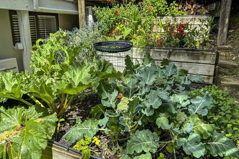 Photo of property in 5 Reynolds Place, Torbay, Auckland, 0630