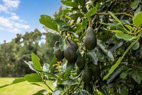 Photo of property in 21 Plummer Road, Whakamarama, Tauranga, 3179