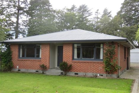 Photo of property in 59 Davis Crescent, Netherby, Ashburton, 7700