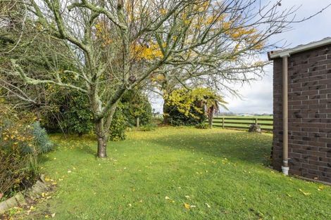 Photo of property in 49 Sheffield Street, Matamata, 3400