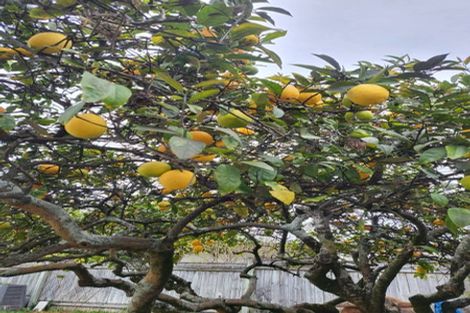 Photo of property in 1a Herrick Street, Marewa, Napier, 4110