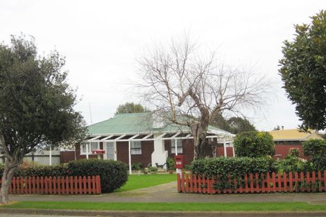 Photo of property in 191 Tiro Tiro Road, Levin, 5510