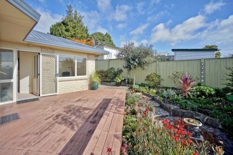 Photo of property in 3b Otawa Street, Te Puke, 3119