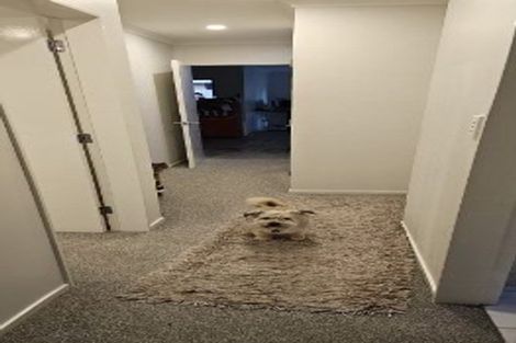 Photo of property in 44a Jackson Terrace, Ranui, Porirua, 5024