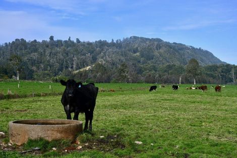Photo of property in 106 Granite Creek Road, Karamea, 7893