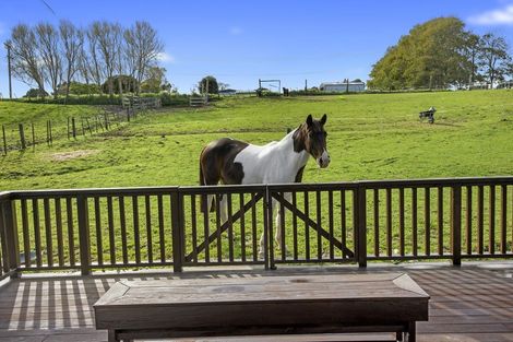 Photo of property in 117 Barrett Road, Riverhead, Albany, 0793