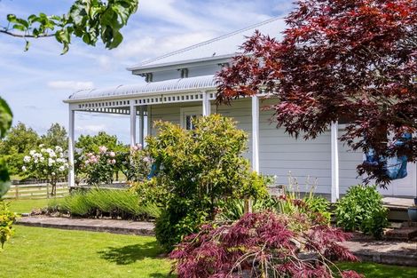 Photo of property in 97 Tataramoa Road, Matamau, Dannevirke, 4977