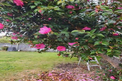 Photo of property in 1a Herrick Street, Marewa, Napier, 4110