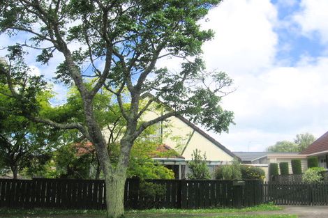 Photo of property in 22 Ward Street, Pukekohe, 2120