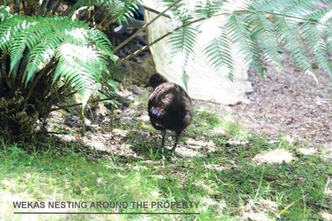 Photo of property in 10 Lavinia Place, Kawau Island, 0920