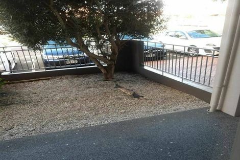 Photo of property in 80a Michael Jones Drive, Flat Bush, Auckland, 2019