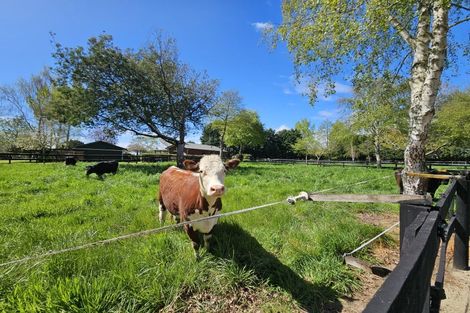 Photo of property in 80 Avenue North Road, Levin, 5510