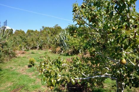 Photo of property in 107 South Terrace Road, Karamea, 7893
