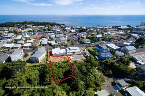 Photo of property in 51 Young Street, New Plymouth, 4310