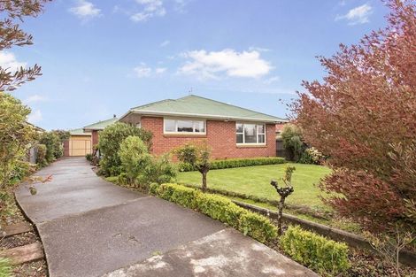 Photo of property in 13 Shearer Avenue, Papanui, Christchurch, 8052