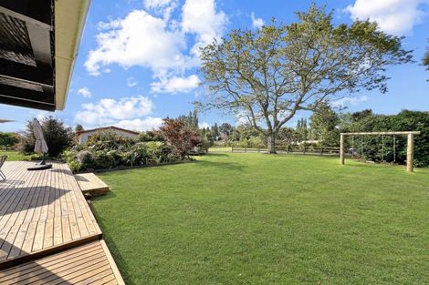 Photo of property in 568 Western Drain Road, Edgecumbe, Whakatane, 3192