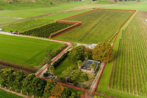 Photo of property in 144 Ngakoroa Road, Ormond, Gisborne, 4071