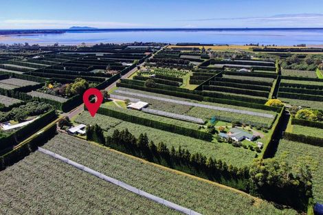 Photo of property in 186 Beach Road, Katikati, 3178