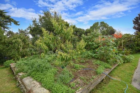 Photo of property in 27 Elliffe Place, Shiel Hill, Dunedin, 9013