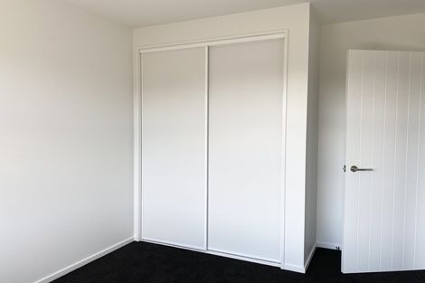 Photo of property in 55 Bonecrusher Street, Lincoln, 7608