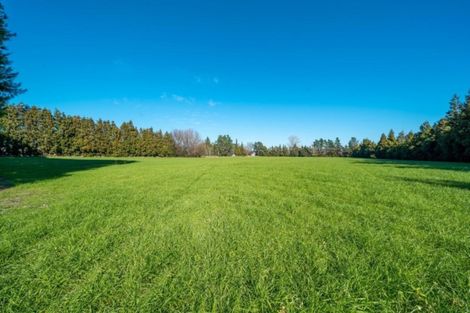 Photo of property in 33 Horrell Road, Morrinsville, 3374