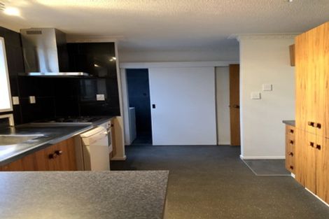 Photo of property in 20 Vienna Street, Waltham, Christchurch, 8023