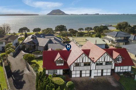 Photo of property in 165a Ngatai Road, Otumoetai, Tauranga, 3110