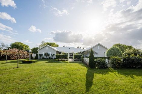 Photo of property in 41 Catra Place, Matangi, Hamilton, 3287