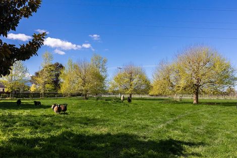 Photo of property in 19 Thomsons Ford Road, Thomsons Ford, Blenheim, 7272