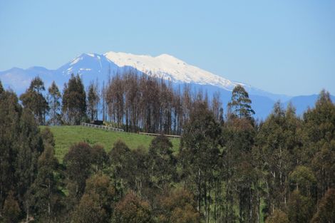Photo of property in 315 Otake Road, Marotiri, Taupo, 3377