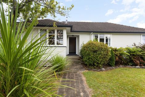 Photo of property in 55a Ross Crescent, Fairfield, Hamilton, 3214