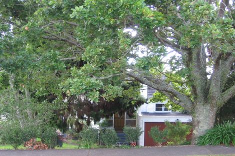 Photo of property in 40 Alexis Avenue, Mount Albert, Auckland, 1025